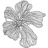 Rose Appliqué